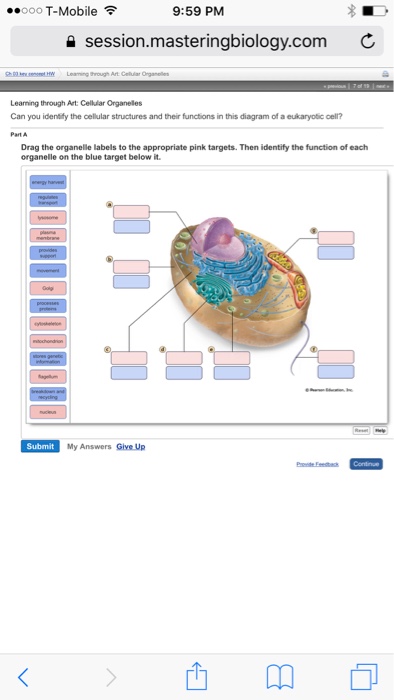 Solved: ..ooo T-Mobile令 9:59 PM A Session.masteringbiolog ...