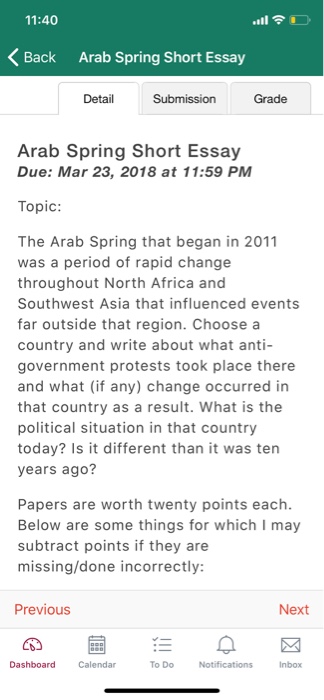 arab spring essay