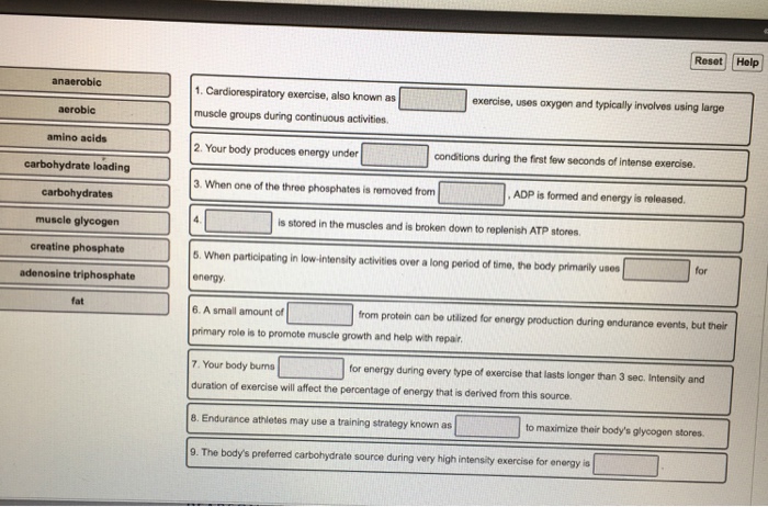 Solved: Anaerobic Aerobic Amino Acids Carbohydrate Loading ...