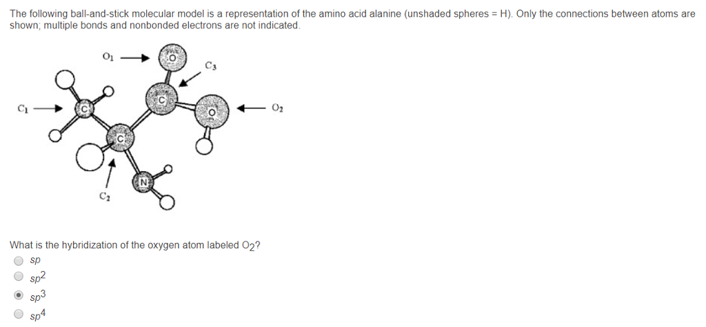 Solved The Following Ball And Stick Molecular Model Is A Chegg Com