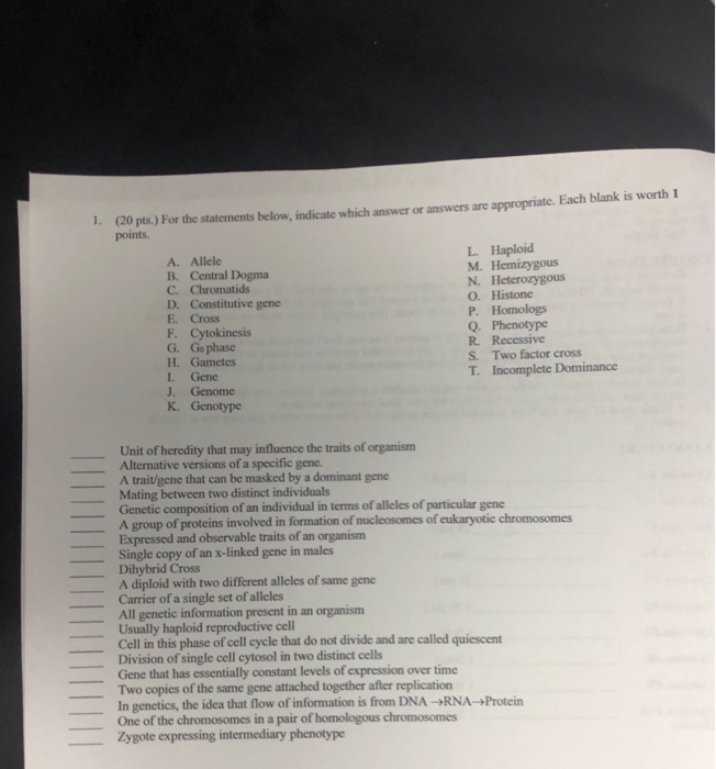 Argumentative thesis statement examples image