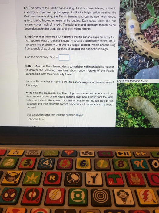 Finding Some Spots Of Bright Color At >> Solved 6 1 The Body Of The Pacific Banana Slug Ariolima Finding Some Spots Of Bright Color At >> Solved 6 1 The Body Of The Pacific Banana Slug Ariolima