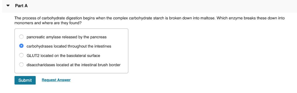 Solved Part A The Process Of Carbohydrate Digestion Begin Chegg Com