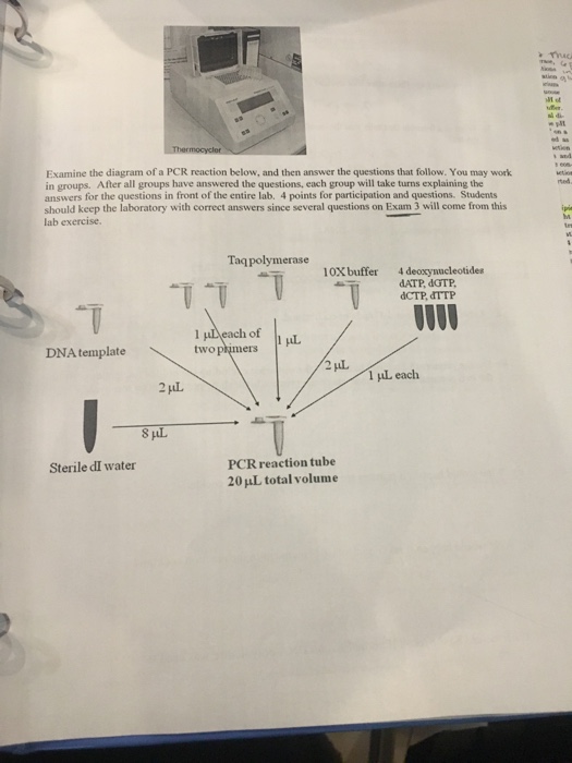 D-PCR-DY-23 German