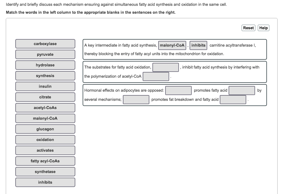 Synthesis sentence starters picture