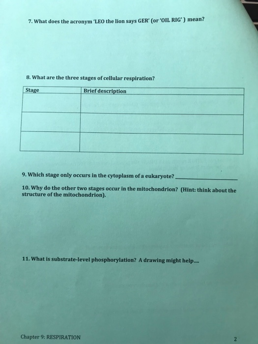 Energy flow worksheet answers