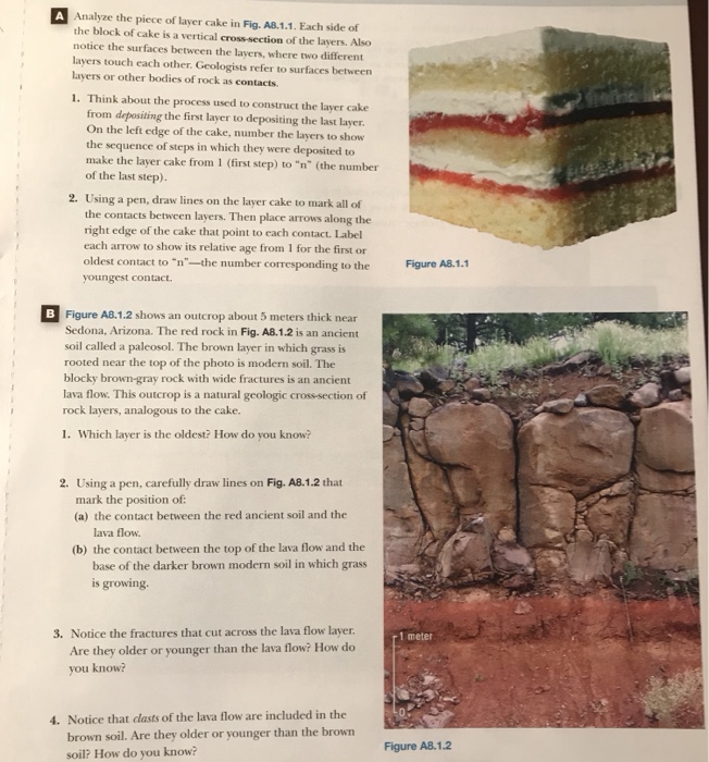 Analyze the piece of layer cake in fig. a8.1.1. each side of the block of cake is a vertical cross-section of the layers. also notice the surfaces between the layers, where two different layers touch each other. geologists refer to surfaces between layers or other bodies of rock as contacts. 1. think about the process used to construct the layer cake from depositing the first layer to depositing the last layer on the left edge of the cake, number the layers to show the sequence of steps in which they were deposited to make the layer cake from 1 (first step) to n (the number of the last step) using a pen, draw lines on the layer cake to mark all of the contacts between layers. then place arrows along the right edge of the cake that point to each contact. label each arrow to show its relative age from 1 for the first or oldest contact to n-the number corresponding to the 2. figure a8.1.1 youngest contact. b figure a8.1.2 shows an outcrop about 5 meters thick near sedona, arizona. the red rock in fig. a8.1.2 is an ancient soil called a paleosol. the brown layer in which grass is rooted near the top of the photo is modern soil. the blocky brown-gray rock with wide fractures is an ancient lava flow. this outcrop is a natural geologic cross-section of rock layers, analogous to the cake. 1. which layer is the oldest? how do you know? using a pen, carefully draw lines on fig. a8.1.2 that mark the position of (a) the contact between the red ancient soil and the 2. lava flow (b) the contact between the top of the lava flow and the base of the darker brown modern soil in which grass is growing. 3. notice the fractures that cut across the lava flow layer r1 meter are they older or younger than the lava flow? how deo you know? 4. notice that clasts of the lava flow are included in the brown soil. are they older or younger than the brown soil? how do you know? figure a8.1.2