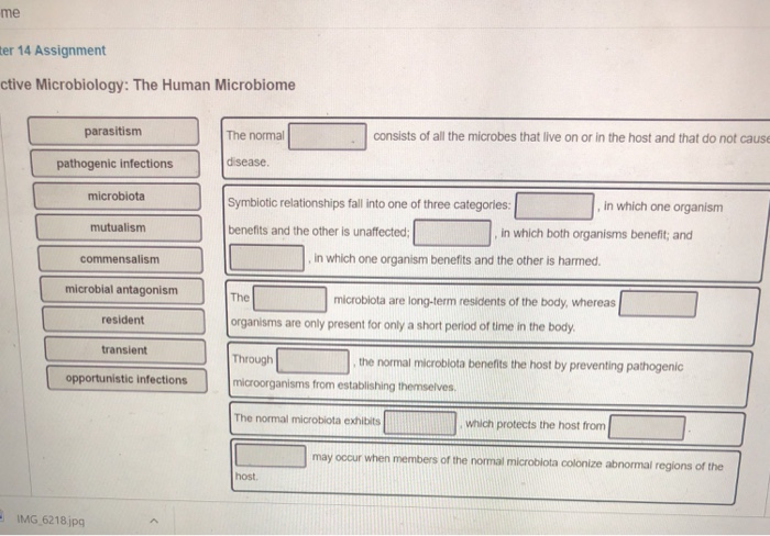 Solved Me Er 14 Assignment Ctive Microbiology: The Human | Chegg.com Solved Me Er 14 Assignment Ctive Microbiology: The Human | Chegg.com