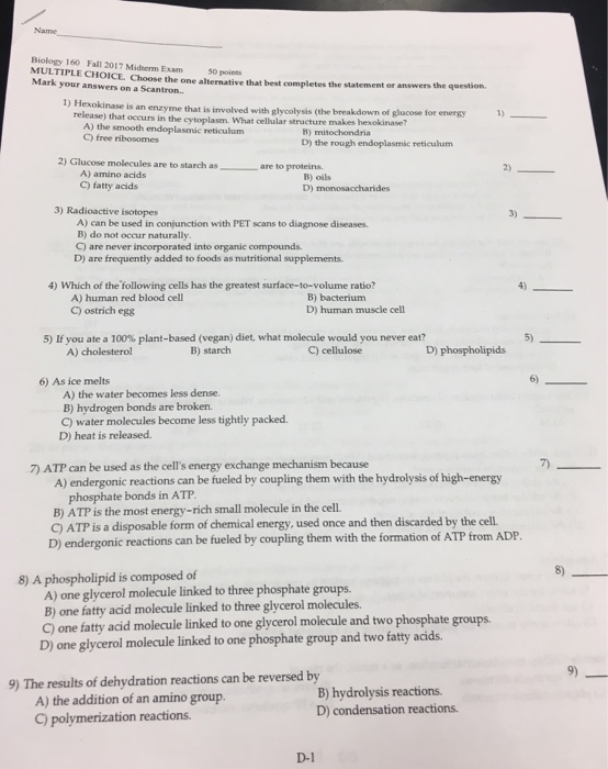 molecular biology multiple choice questions and answers