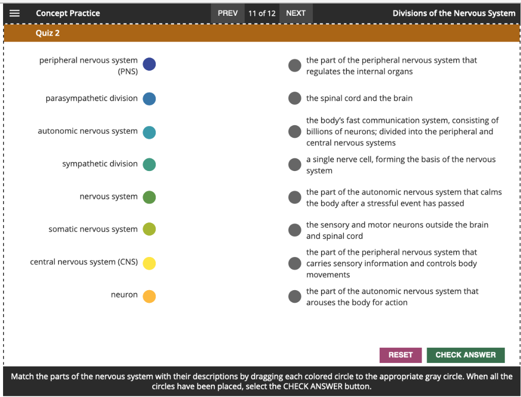 Solved Concept Practice Divisions Of The Nervous System Prev Chegg Com