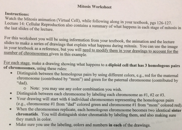 The Virtual Cell Worksheet Answer - Nidecmege