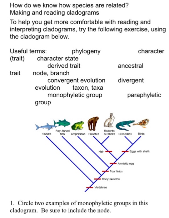 Solved How do we know how species are related? Making and | Chegg.com