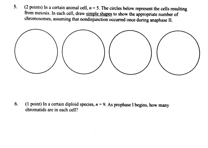 Solved In A Certain Animal Cell N 5 The Circles Below R