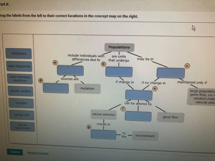 Can You Complete This Concept Map That Reviews Some Key Ideas About Evolution? Solved: Can You Complete This Concept Map That Reviews Som 