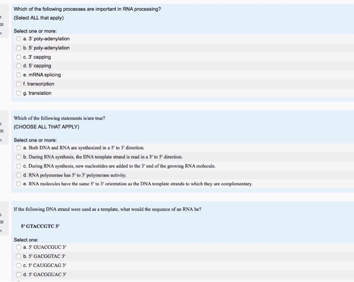 Solved Which Of The Following Processes Are Important In Rna | Chegg.com Solved Which Of The Following Processes Are Important In Rna | Chegg.com