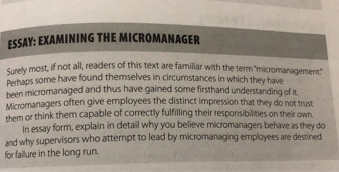 Micromanagement essay 02 image