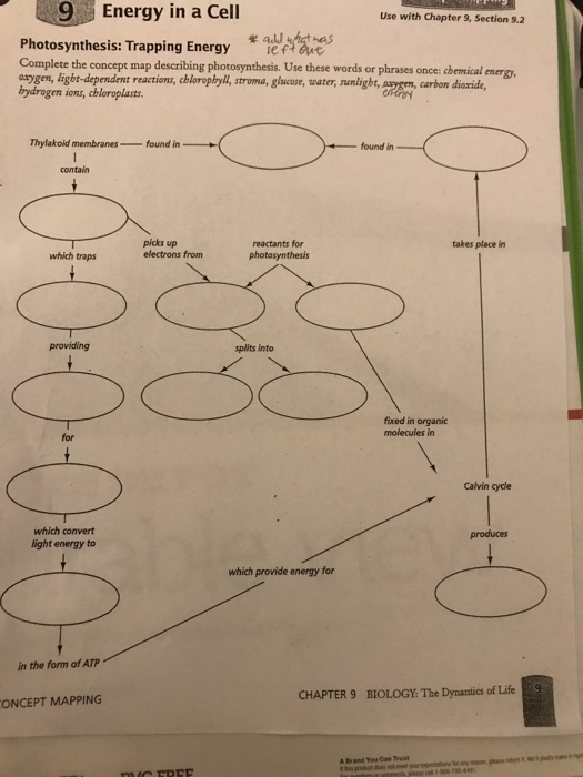 photosynthesis trapping energy concept map Solved 9energy In A Cell Use With Chapter 9 Section 9 2 photosynthesis trapping energy concept map