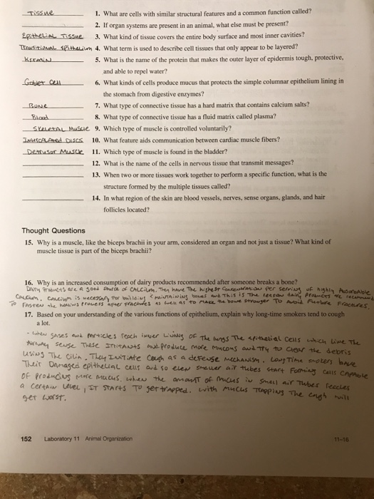 animal worksheet cell Features 1. Cells Are Similar What With Solved: Structural