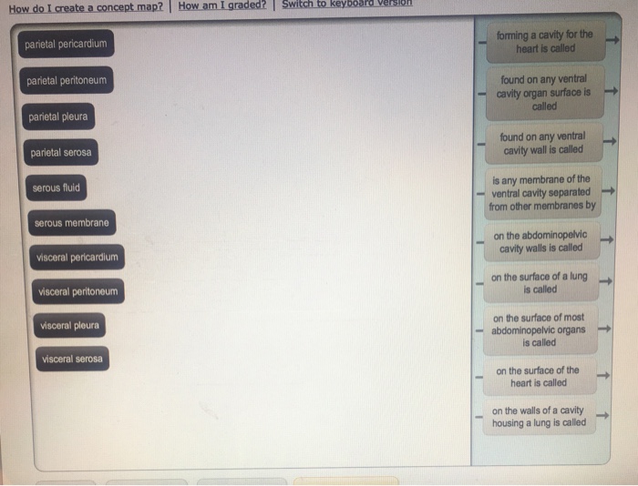 Forming A Cavity For The Heart Is Called Concept Map Solved: How Do I Create A Concept Map? | How Am I Graded 