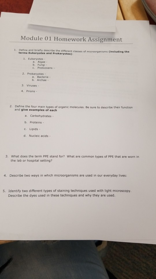 Homework meaning in english image