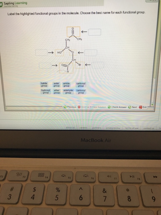 Label The Highlighted Functional Groups In The Chegg 