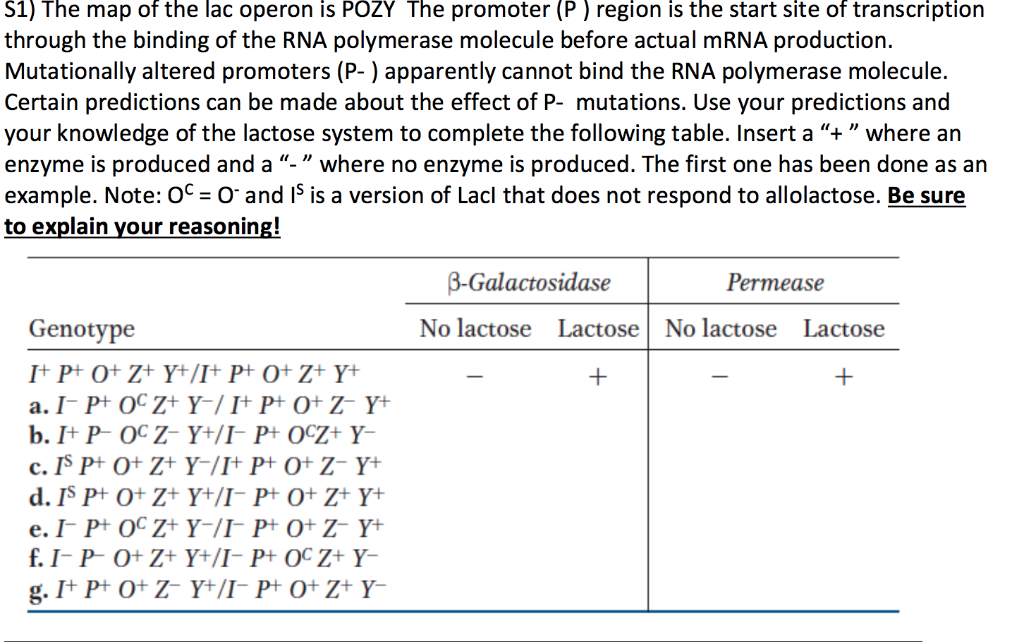 Solved S1 The Map Of The Lac Operon Is Pozy The Promoter Chegg Com