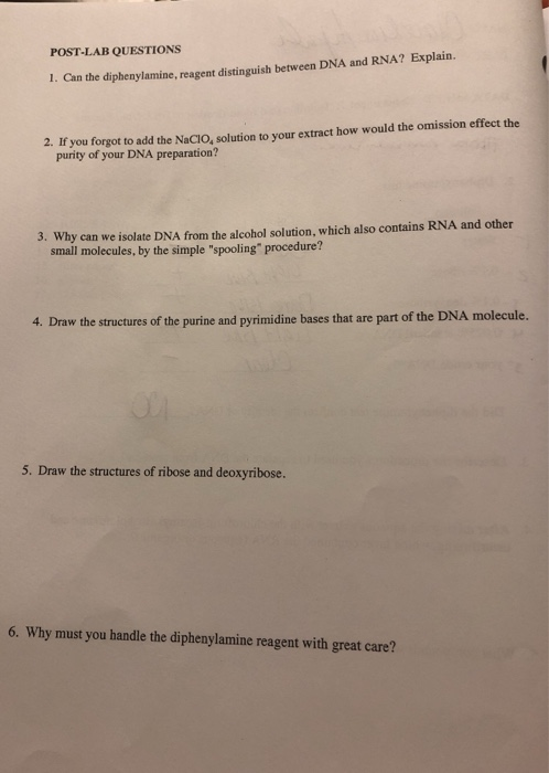 solved post lab questions 1 can the diphenylamine reage chegg com