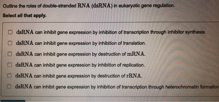 Outline The Roles Of Double Stranded Rna Dsrna In Chegg Com