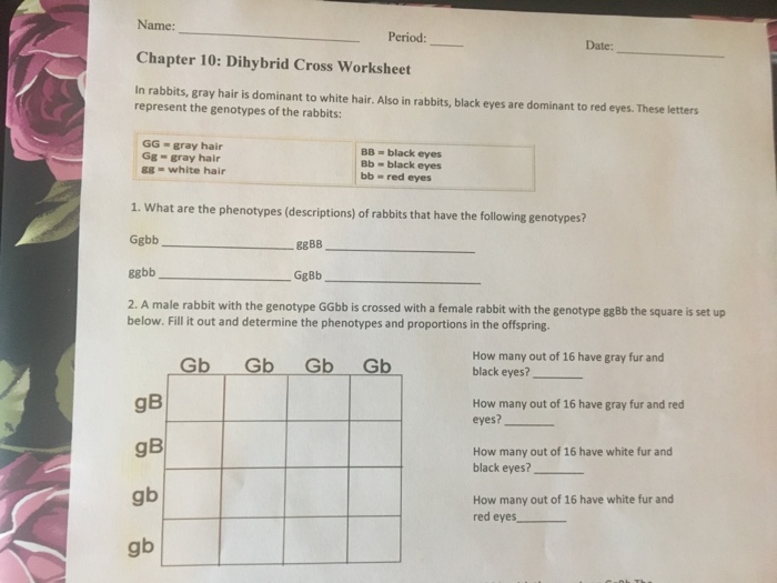 Solved Name Period Date Chapter 10 Dihybrid Cross Wor Chegg Com