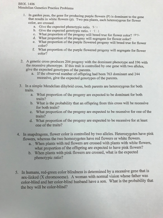 Mendelian Inheritance Worksheet Answers