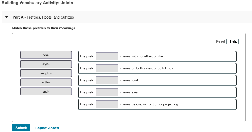 A(n) is a white blood cell. image