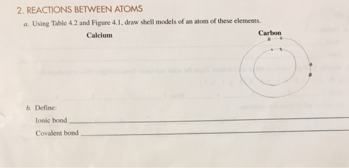 calcium shell model