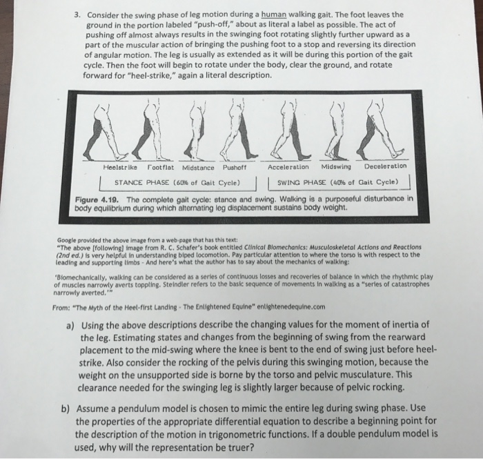 Solved 3 Consider The Swing Phase Of Leg Motion During A