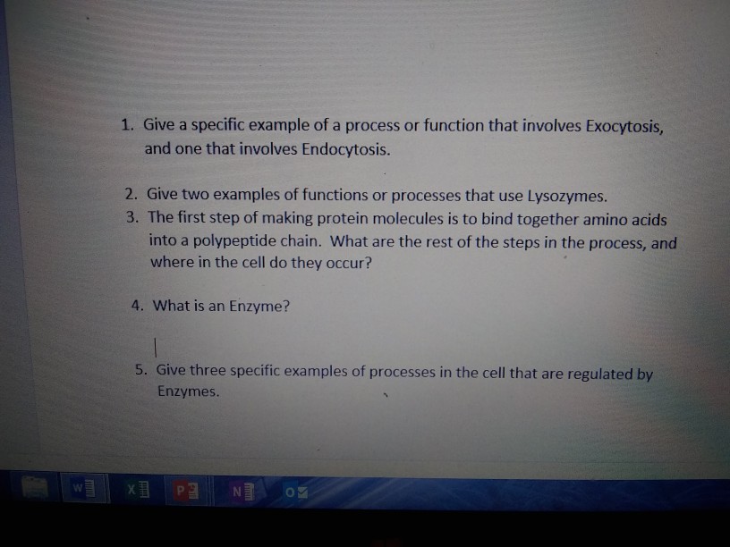 Solved 1 Give A Specific Example Of A Process Or Function Chegg Com