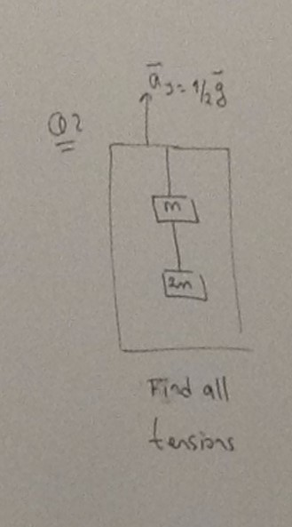02 Find all ensans