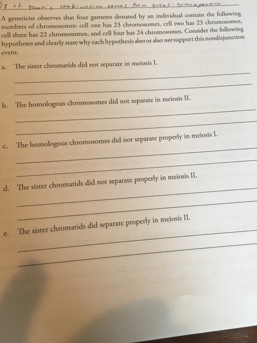 where there any official methods of selecting a Hokage besides pure  nepotism, the 1st,2nd were bros, the 3rd was their favorite, 5th  granddaughter of 1st, 4th,6th,7th also all linked : r/Naruto