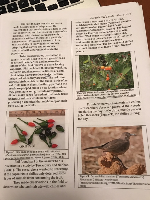 What is (are) the control(s) in the food choice experiment performed by tewksbury and nabhan? image