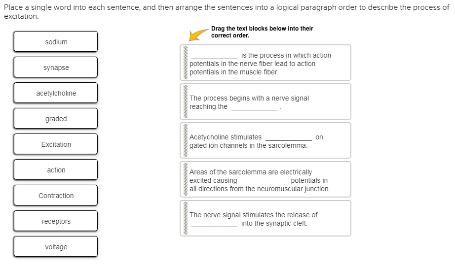 Place A Single Word Into Each Sentence And Then Chegg 