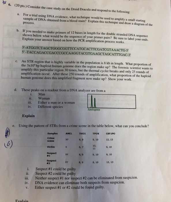 Which of the strands of dna could act as a primer for the dna sequence shown below? picture