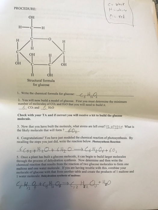Solved Procedure On Oh On On Structural Formula For Glucose Chegg Com