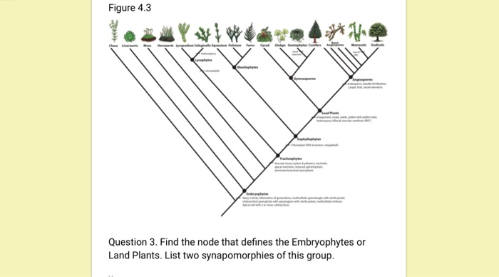 Solved: Figure 4.3 Question 3. Find The Node That Defines ... | Chegg.com