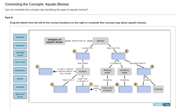 drag the labels to the appropriate locations in this concept map Solved Drag The Labels From The Left To The Correct Locat drag the labels to the appropriate locations in this concept map