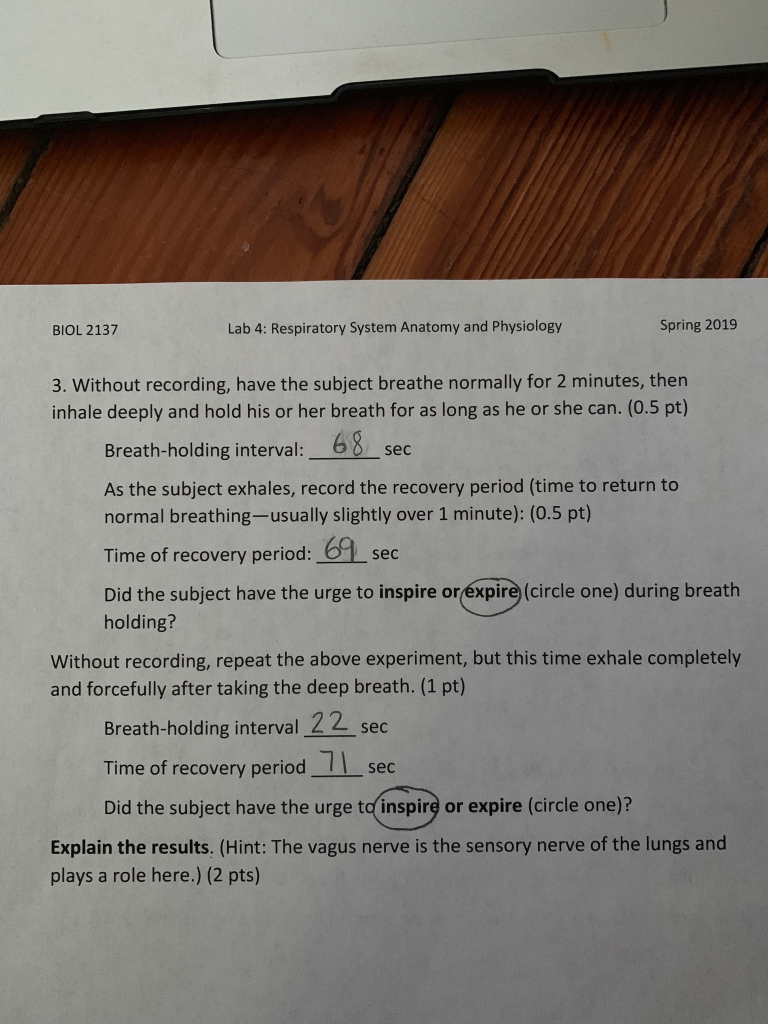 Explain The Results In Regards To The Vagus Nerve And Chegg 