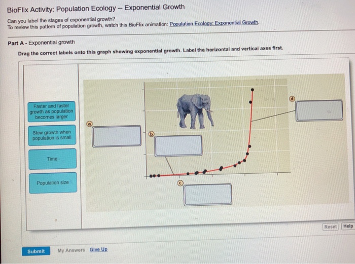 drag the correct label under each graph to identify the type of population growth shown. 30 drag the correct label under each graph to identify the type of