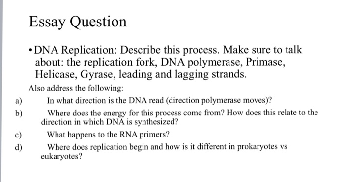 Essay Question DNA Replication: Describe this process. Make sure to talk about: the replication fork, DNA polymerase, Primase, Helicase, Gyrase, leading and lagging strands. Also address the following: a) In what direction is the DNA read (direction polymerase moves)? b) Where does the energy for this process come from? How does this relate to the direction in which DNA is synthesized? c) d) What happens to the RNA primers? Where does replication begin and how is it different in prokaryotes vs eukaryotes?