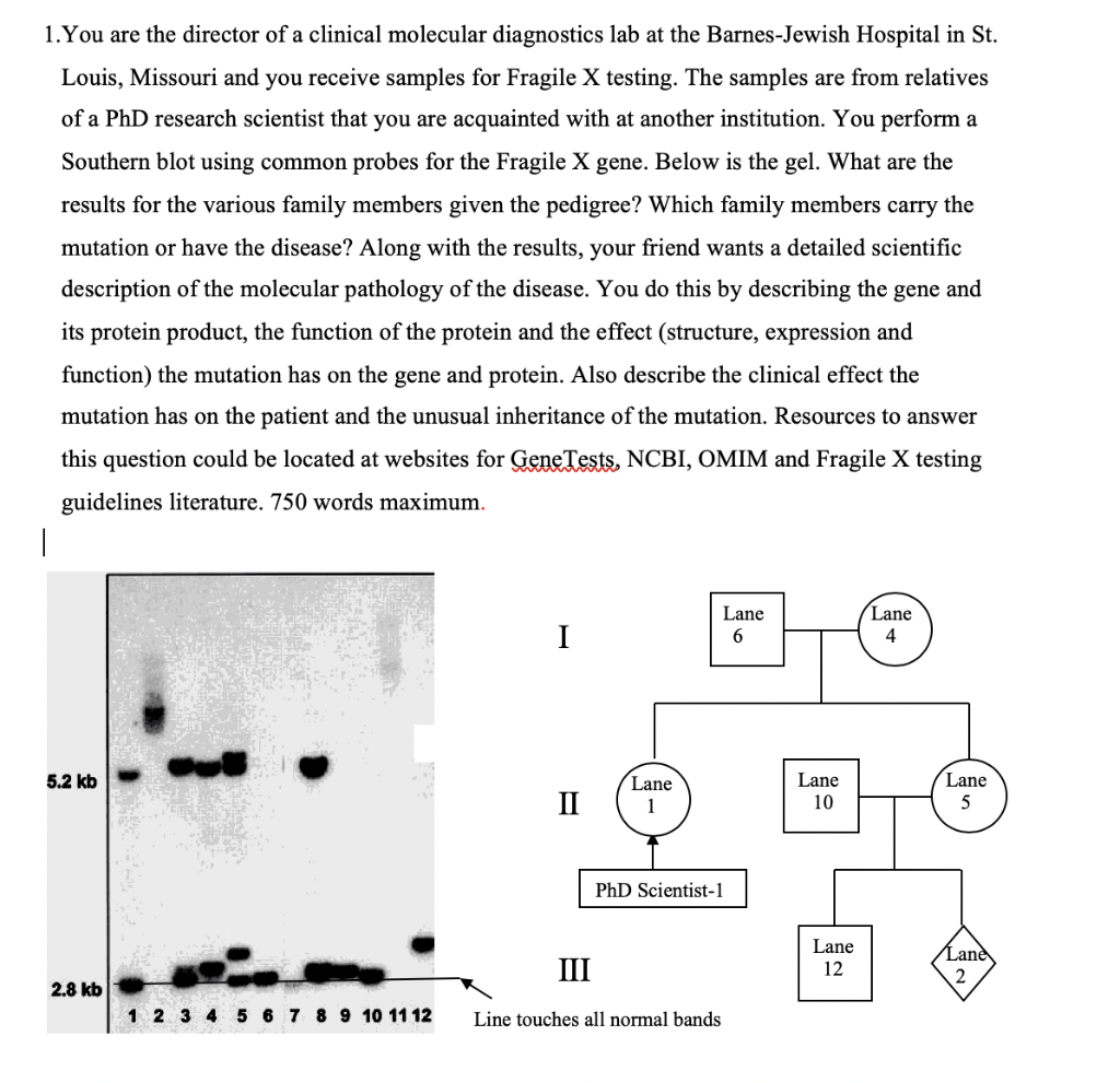 Solved 1 You Are The Director Of A Clinical Molecular Dia