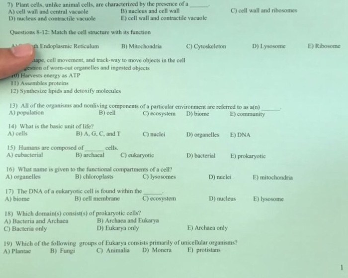 7 Plant Cells Unlike Animal Cells Are Chegg Com