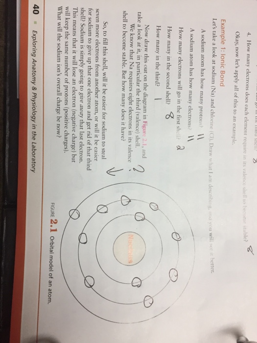 Solved: What Will The Sodium Ions Overall Charge Be Now? W ...