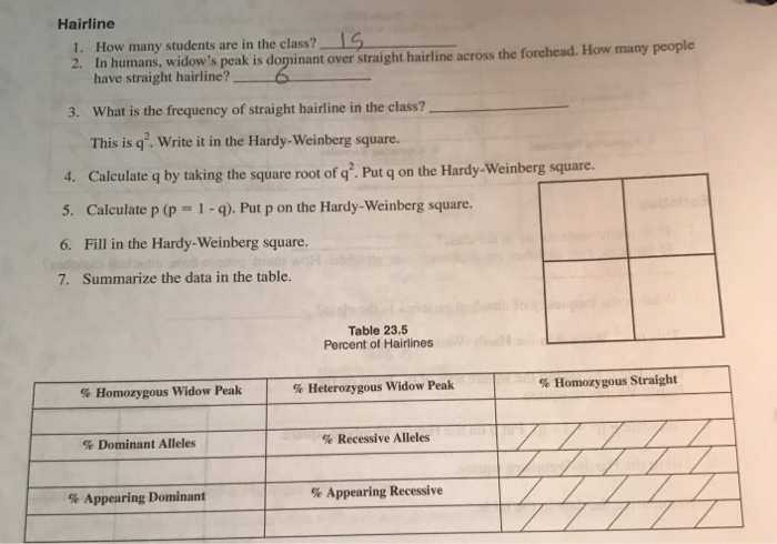 Solved Hairline I How Many Students Are In The Class 2