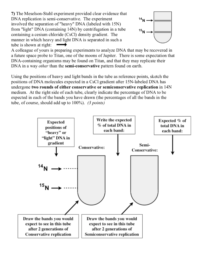 the meselson stahl experiment provided